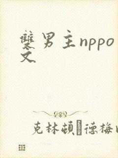 双男主nppo文