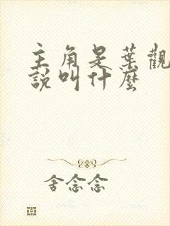 主角是叶观的小说叫什么