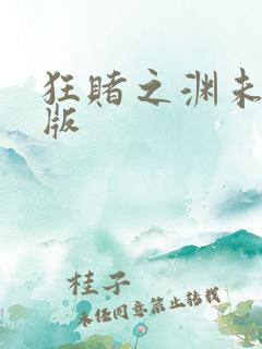 狂赌之渊未删减版