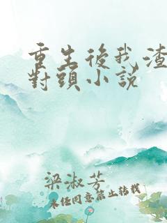 重生后我渣了死对头小说