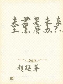 夫君是未来大魔王怎么办?小说