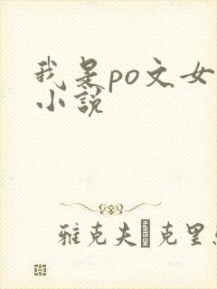 我是po文女主小说