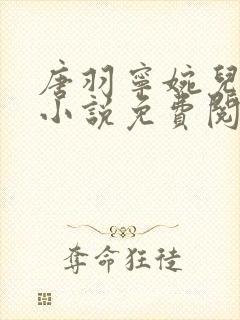 唐羽宁婉儿穿越小说免费阅读