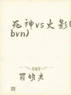 死神vs火影(bvn)