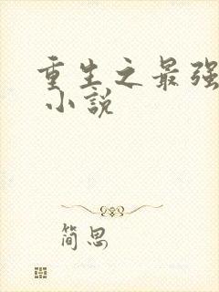 重生之最强系统 小说