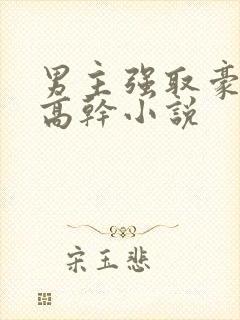 男主强取豪夺的高干小说