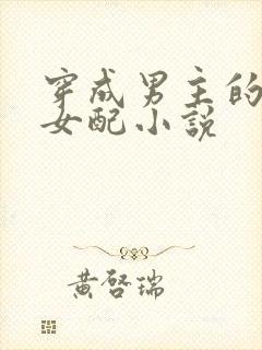 穿成男主的继妹女配小说