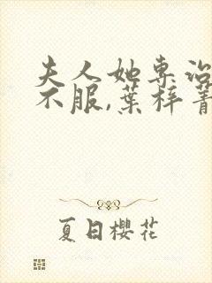 夫人她专治各种不服,叶梓菁