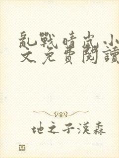 乱战晴岚小说全文免费阅读