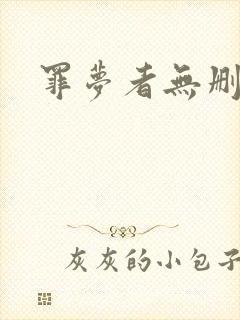 罪梦者无删减版