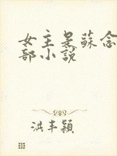 女主是苏念的全部小说