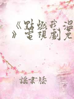 《点燃我温暖你》电视剧免费观看