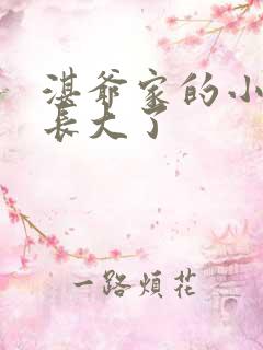 湛爷家的小妖精长大了