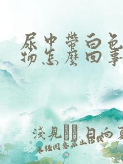 尿中带白色沉淀物怎么回事