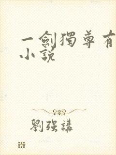 一剑独尊有声 小说