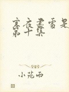 寒夜尽处是卿心第十集