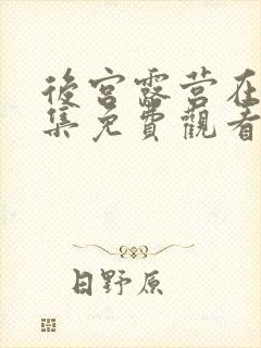 后宫露营在线全集免费观看