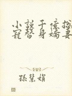 小说千亿总裁独宠替身娇妻完整版未删减小说