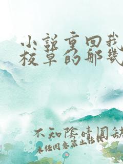 小说重回我爸当校草的那几年