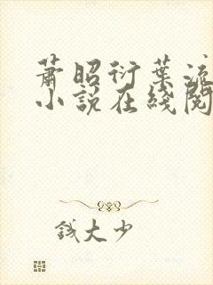 萧昭衍叶流锦的小说在线阅读