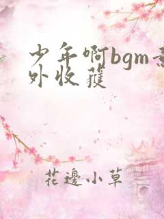 少年啊bgm意外收获