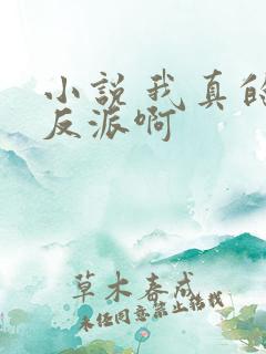 小说 我真的是反派啊