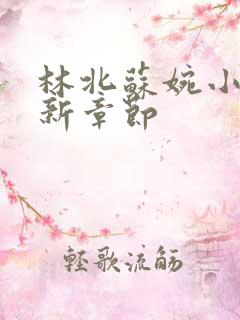 林北苏婉小说更新章节