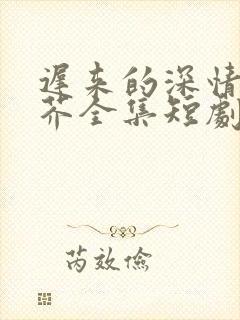 迟来的深情如草芥全集短剧