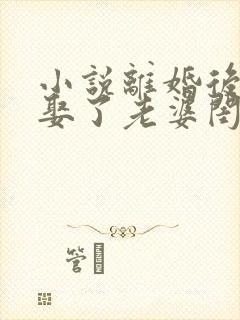 小说离婚后,我娶了老婆闺蜜阅读