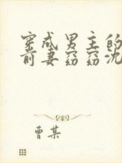 穿成男主的炮灰前妻窈窈沈阶完结