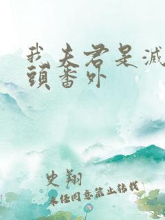 我夫君是灭世魔头番外