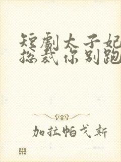 短剧太子妃驾到总裁你别跑