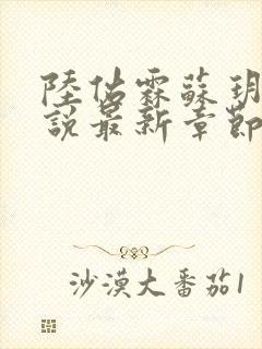 陆佑霖苏玥莹小说最新章节更新时间