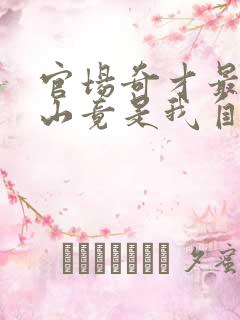 官场奇才最强靠山竟是我自己李霖全本阅读