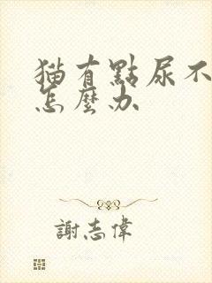 猫有点尿不出来怎么办