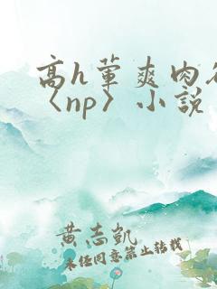高h荤爽肉欲文〈np〉小说