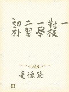 初二一对一数学补习学校