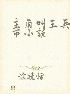 主角叫王兵的都市小说