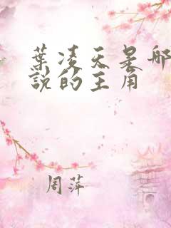 叶凌天是哪部小说的主角