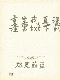 重生我真没想当渣男txt下载