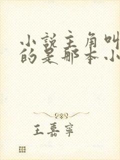 小说主角叫陈凡的是那本小说