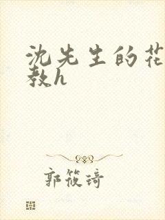 沈先生的花式调教h