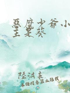 恶魔少爷小说女主是葵