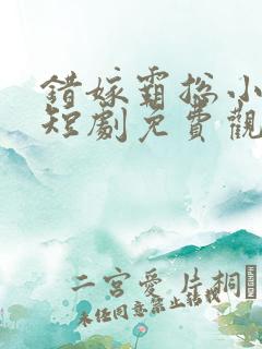 错嫁霸总小甜妻短剧免费观看全集