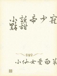 小说帝少宠妻有点甜