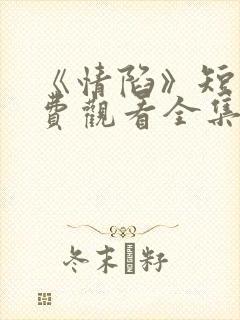 《情陷》短剧免费观看全集