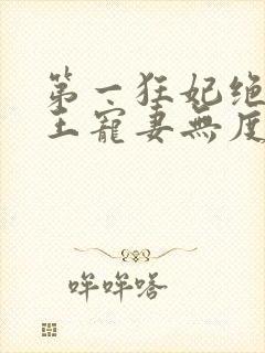 第一狂妃绝色邪王宠妻无度免费