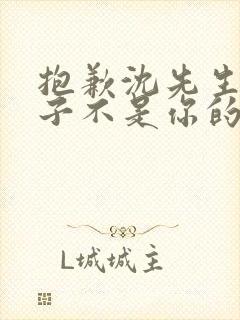 抱歉沈先生,孩子不是你的短剧完整选集