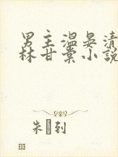 男主温晏清女主林甘棠小说