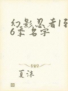 幻影忍者1到16季名字